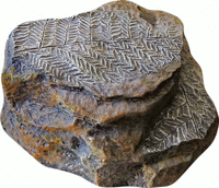 Крышка люка Камень с папоротником